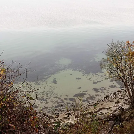 Near Loddenhoj Brode