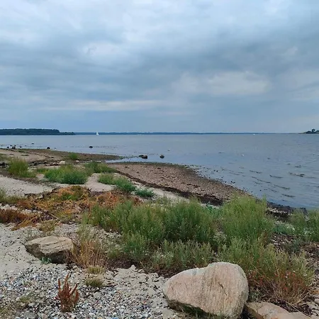 Near Loddenhoj Brode