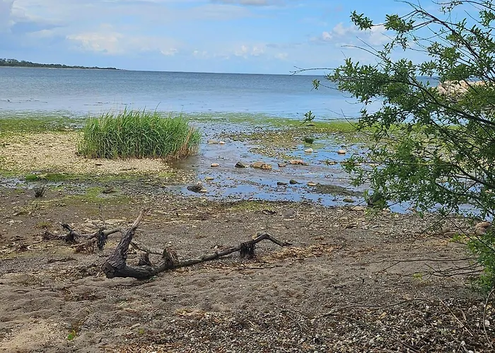 Near Loddenhoj * Åbenrå
